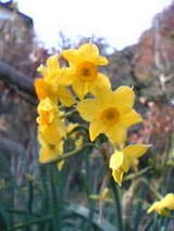 0272f29984e24ec60579cefaec088992