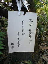 a7604fb02d40f07a1395dc5e6fb0748d