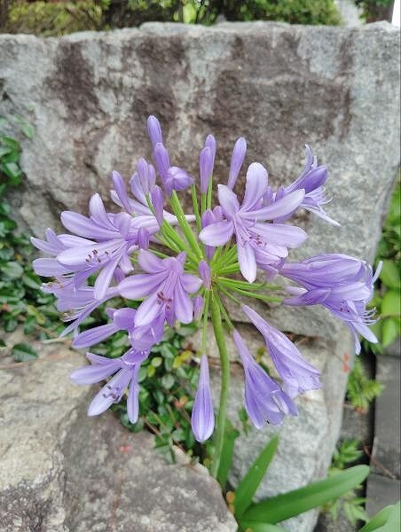 IMG_20240630_093906_20240630135019