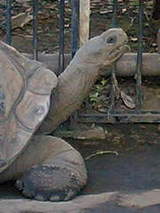 b7407f4024b08aa8c9519468e912497e