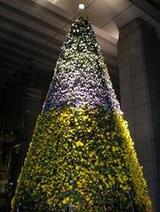 332de68ebea964224823d1a1b6255a41