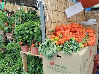 IMG_20240709_102524_20240709114752