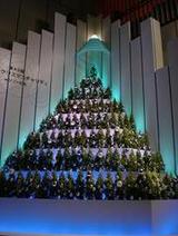 0aec2feeebb79461d4e91d6bcd5b1a60