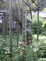 ���� 326�����ɥ�