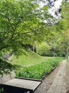 IMG_20250424_124042_20250506203114