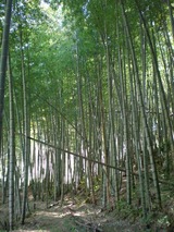 s-13��10����