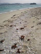 ����ȳ��̤�ƻ