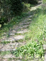 s-13��05����