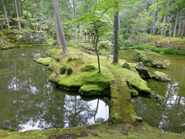 s-��Ĺ����Ϥ붶P1060539