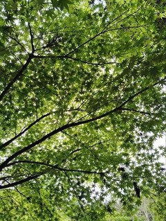 IMG_20250424_124051_20250506203050