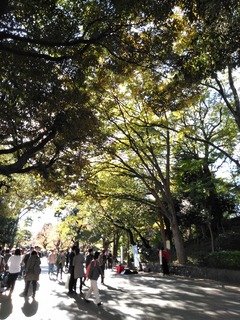 s-IMG_20191121_132929