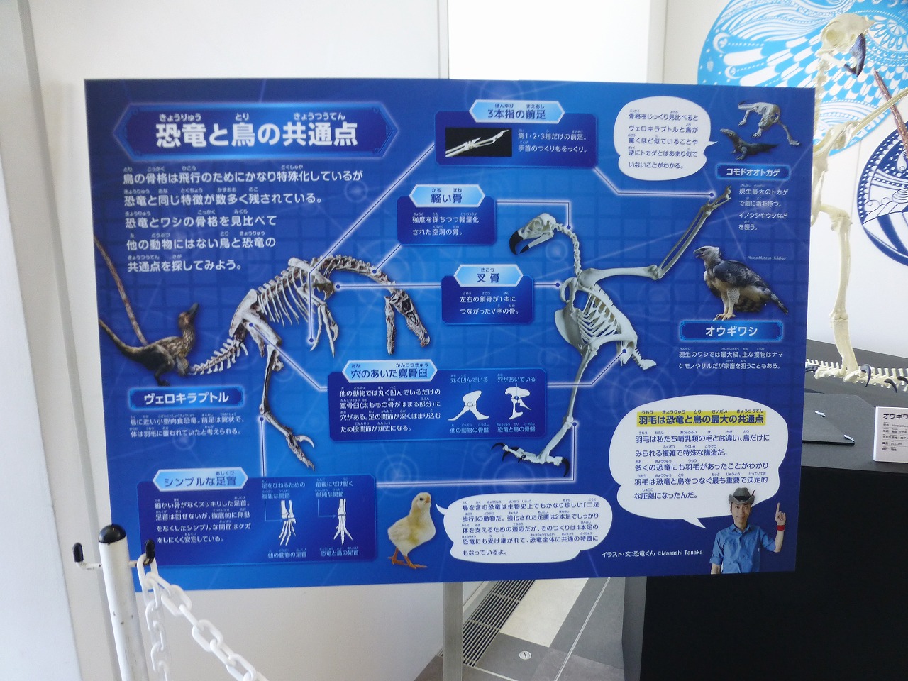 サンシャイン60展望台とサンシャインシティ Mamataroおでかけ日記 サンシャイン60展望台とサンシャインシティ Mamataroおでかけ日記