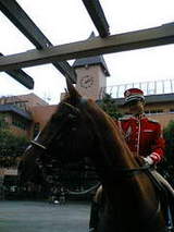 74791c6127787c76ba636568ce8baeaa