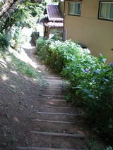 ���ҥ��ѡ��� 992