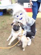 s-¡ùP1310052²Ã¹©