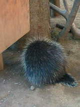 7d12813ab7994e6061289c3991cfd8d7