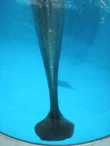 �ե�����