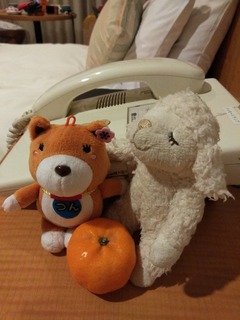 s-IMG_20200108_200807