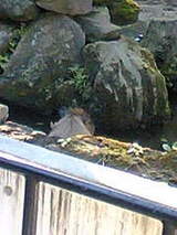 f40c9a6a2a6faec4885a71a8acb50592