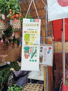 IMG_20240709_102617_20240709114748