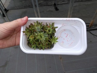 s-IMG_20220421_140334_20220422160749