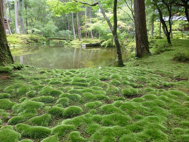 s-�ޤ󤸤夦����P1060601