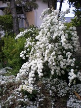 s-12¡§42¥³¥Ç¥Þ¥ê