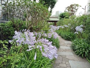 IMG_20240630_115345_20240630134236