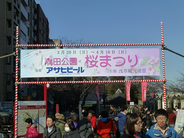 隅田公園 桜まつり も桜はまだまだ Mamataroおでかけ日記 隅田公園 桜まつり も桜はまだまだ Mamataroおでかけ日記