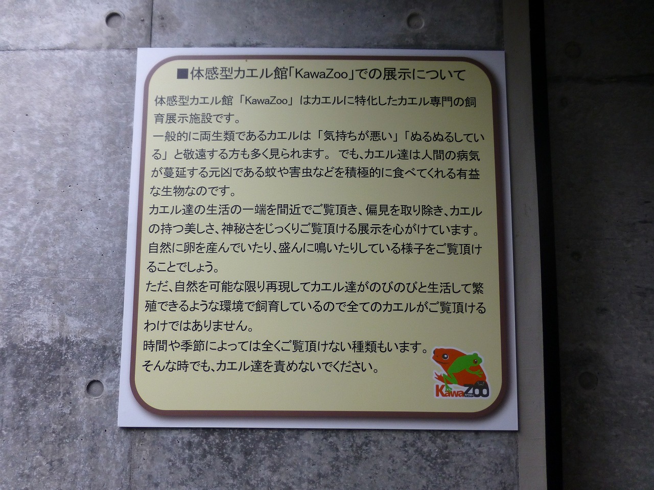 見て 聞いて 驚く 体験型カエル館kawazoo Mamataroおでかけ日記 見て 聞いて 驚く 体験型カエル館kawazoo Mamataroおでかけ日記