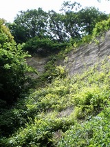 ���ҥ��ѡ��� 777