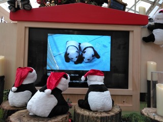 s-IMG_20211116_150209