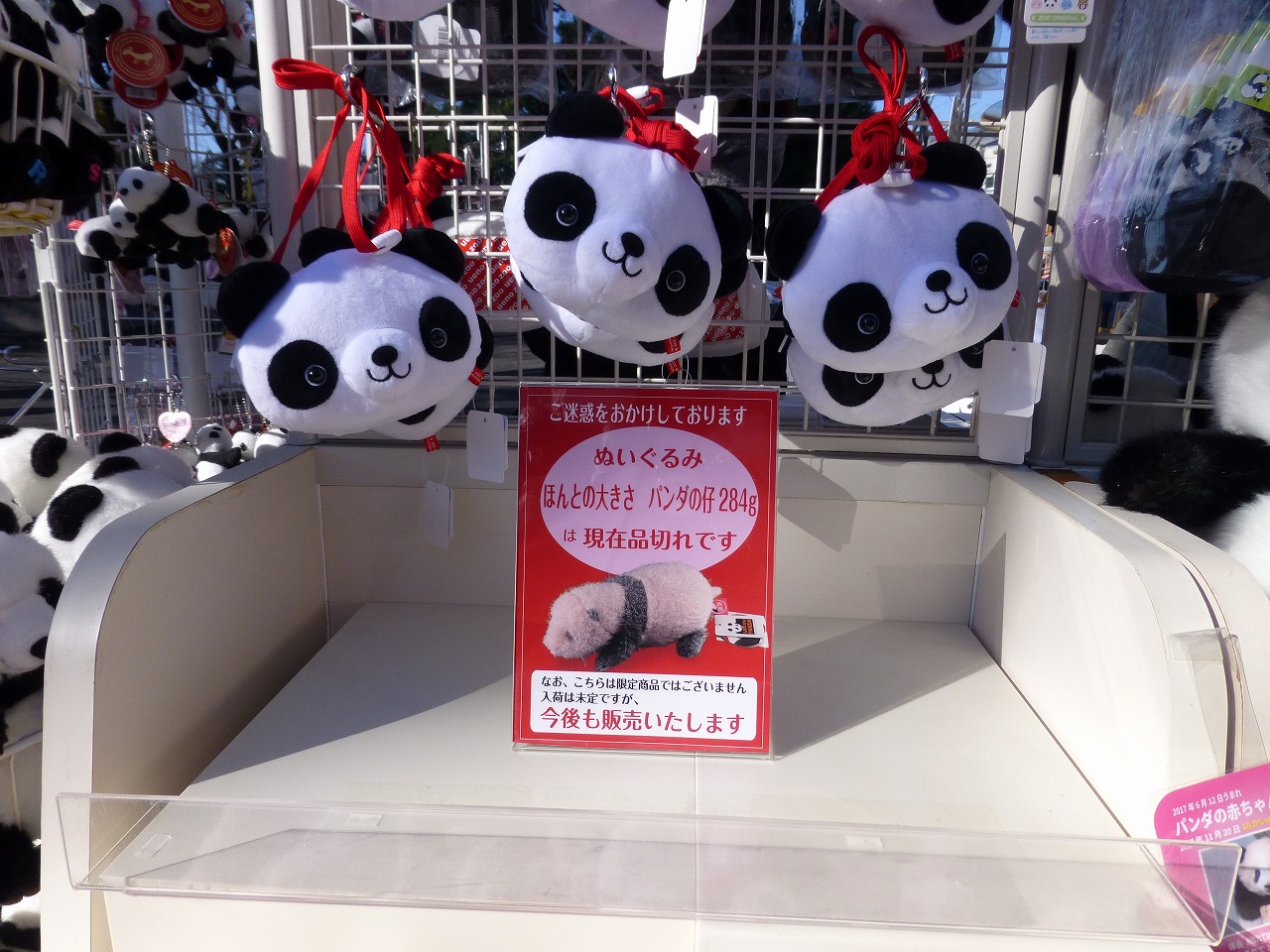 上野動物園に🐼ぬいぐるみを買いに行く（2） 171223 : mamataro