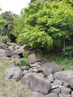 IMG_20250424_123340_20250506202915