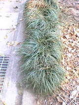 09bf68e03ee04439e5e040b49dfd879c