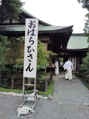 IMG_20240630_112426_20240630134420