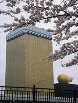 ���åݥ��ӡ����ܼҤȺ���