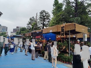 IMG_20240709_102647_20240709114746