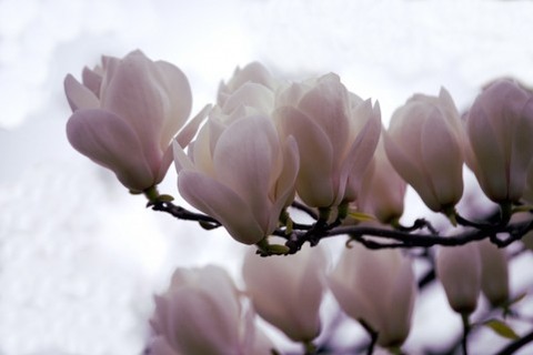 a1180_014002