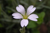 20080427141254