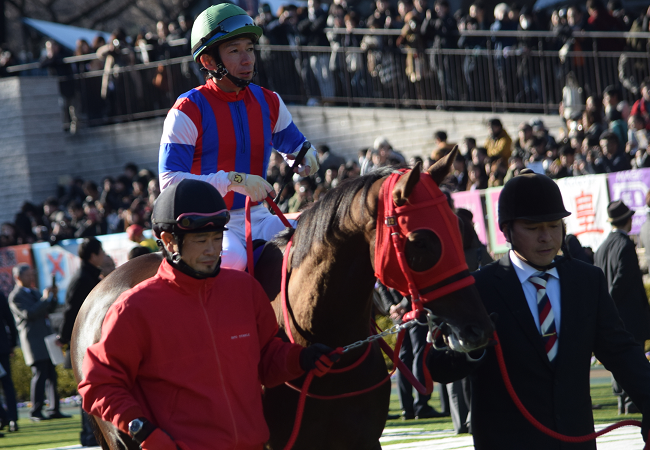 フェブラリーS・2018観戦記 : Nathanielの競馬ブログ