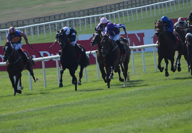 愛ダービー18観戦記 2 Nathanielの競馬ブログ