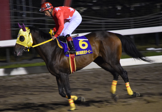 東京ダービー17観戦記 Nathanielの競馬ブログ