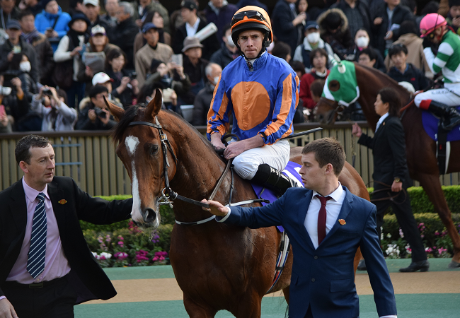 ジャパンカップ17観戦記 1 Nathanielの競馬ブログ