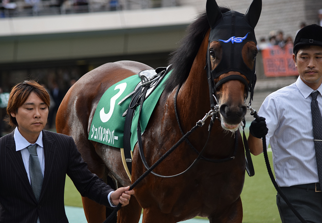サウジアラビアロイヤルc2017観戦記 Nathanielの競馬ブログ