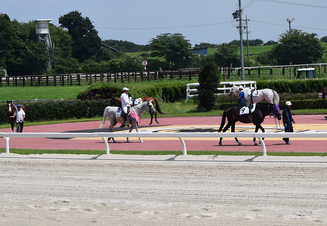 ç¬ æ¾ç«¶é¦¬å ´è¦³æˆ¦è¨˜ 1 Nathanielã®ç«¶é¦¬ãƒ–ãƒ­ã‚°