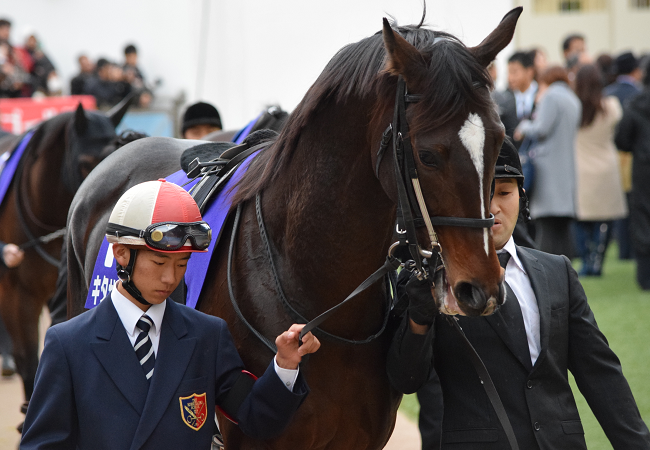 キタサンブラック 現代の立身出世伝 3 Nathanielの競馬ブログ