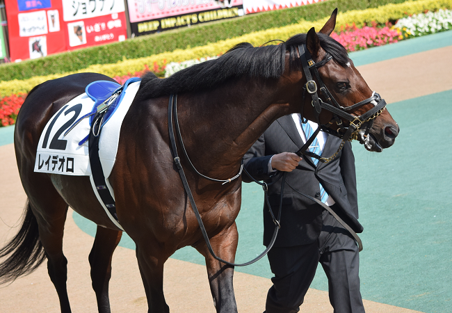 日本ダービー17観戦記 Nathanielの競馬ブログ