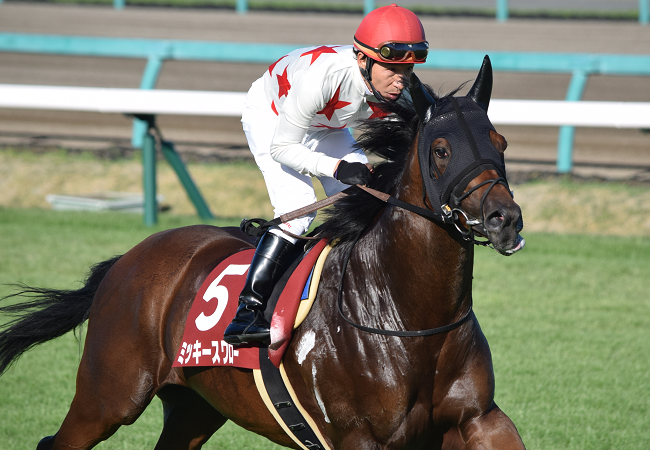 ミッキースワロー チーム一貫の馬づくり Nathanielの競馬ブログ