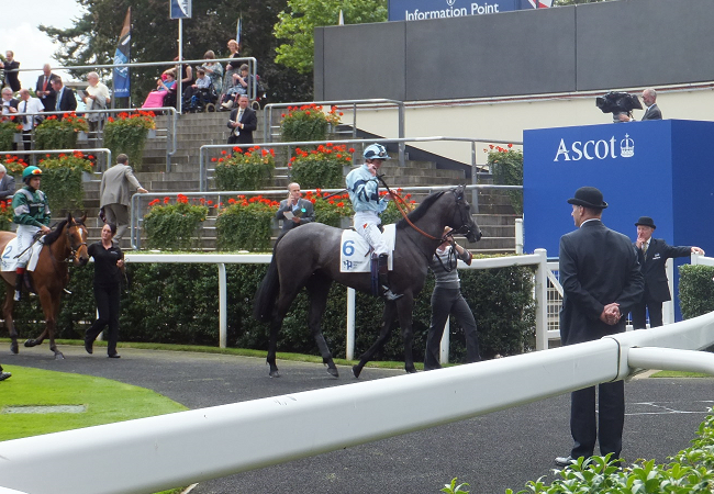 エイシンヒカリ 欧州への道 Nathanielの競馬ブログ